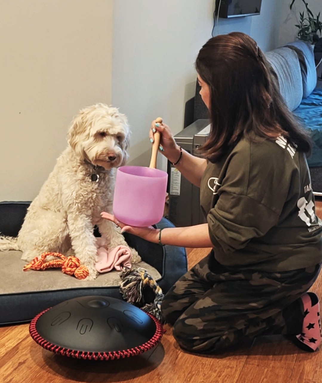Sound healing for dogs