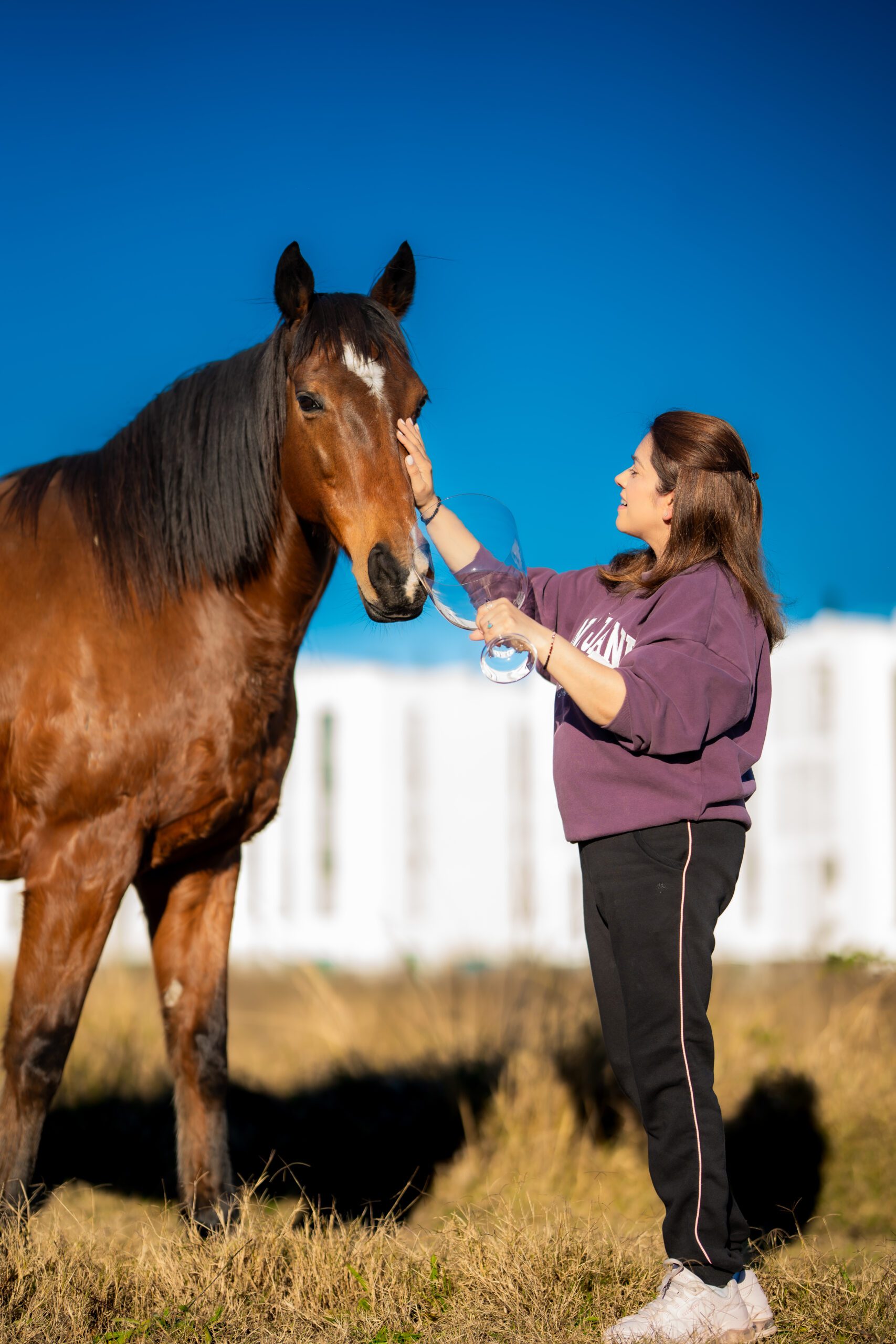 Sound Healing for horses